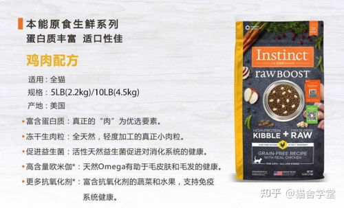 高性價比貓糧推薦 進口與國產精選及購買指引