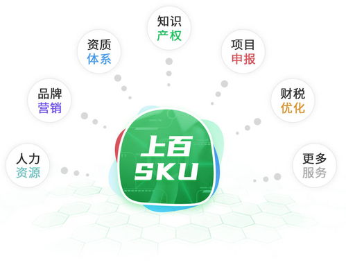 同行樹 專業(yè)把脈數(shù)字化轉(zhuǎn)型,打造企業(yè)高效經(jīng)營快車道