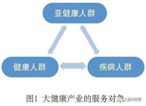 我國大健康產(chǎn)業(yè)的發(fā)展現(xiàn)狀及推進(jìn)建議