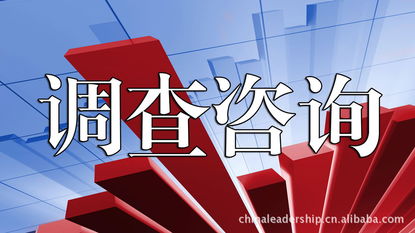 咨詢服務(wù) 北京理德斯普企業(yè)管理咨詢有限責(zé)任公司